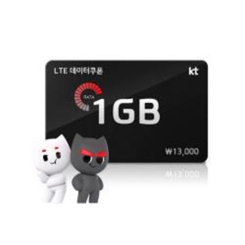 [올레] LTE 데이터쿠폰 1GB