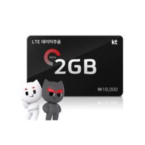 [올레] LTE 데이터쿠폰 2GB